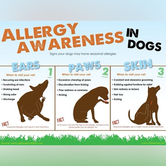 $1 DOG PIN/BROOCH. ENAMEL/METAL. NEW. $1 WITH ANY $10 ORDER OR MORE - Picture 12 of 16